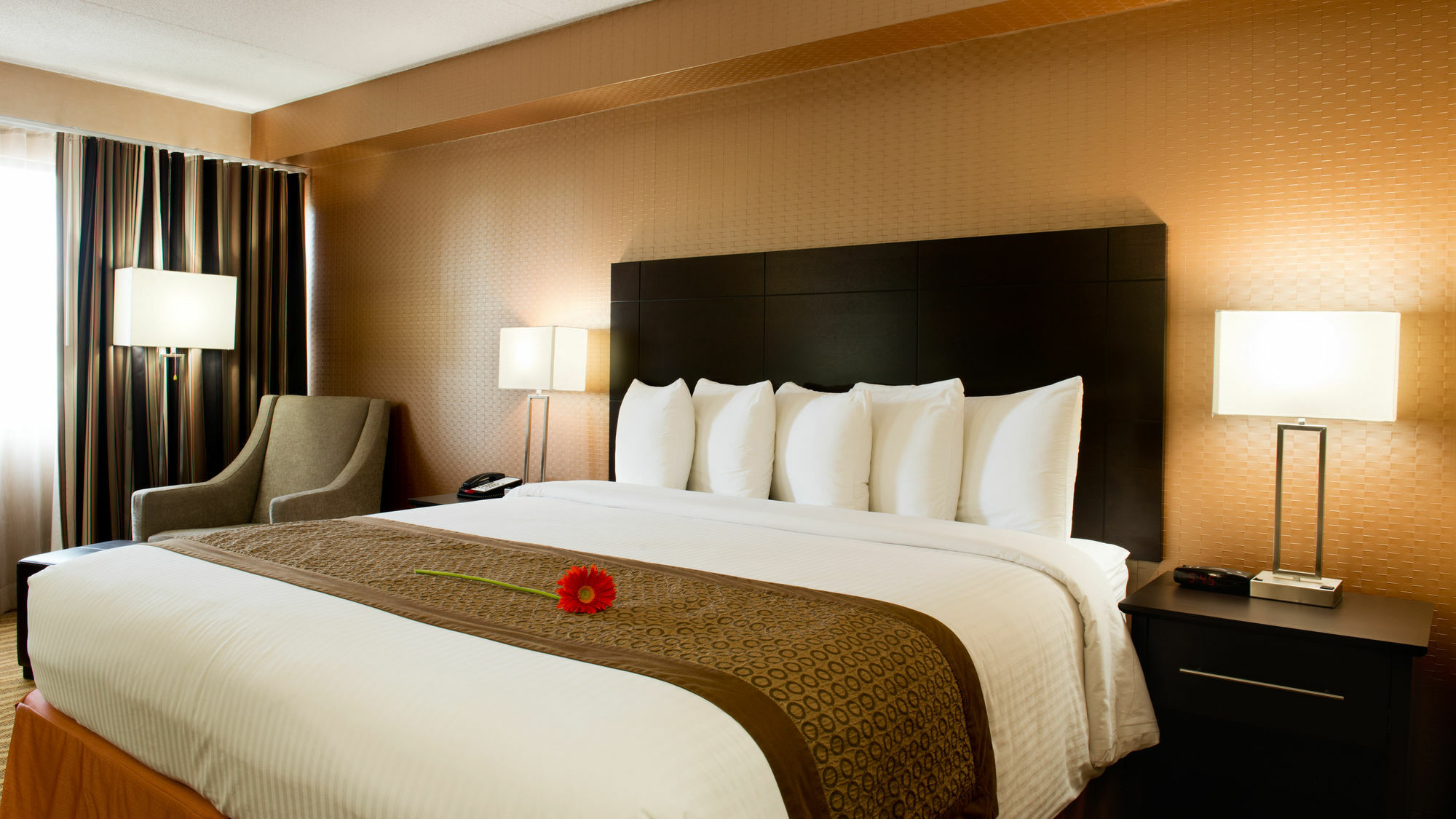 Park By Radisson Toronto-markham 3*